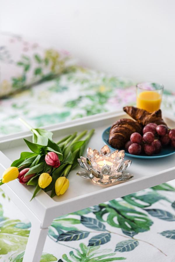 Apartament W Centrum Ustrzyki Dolne Ngoại thất bức ảnh