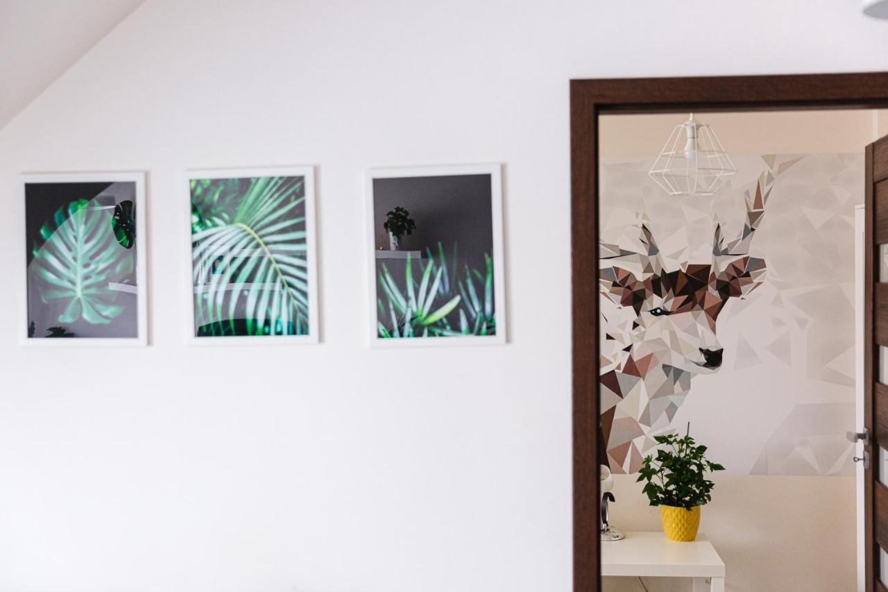 Apartament W Centrum Ustrzyki Dolne Ngoại thất bức ảnh