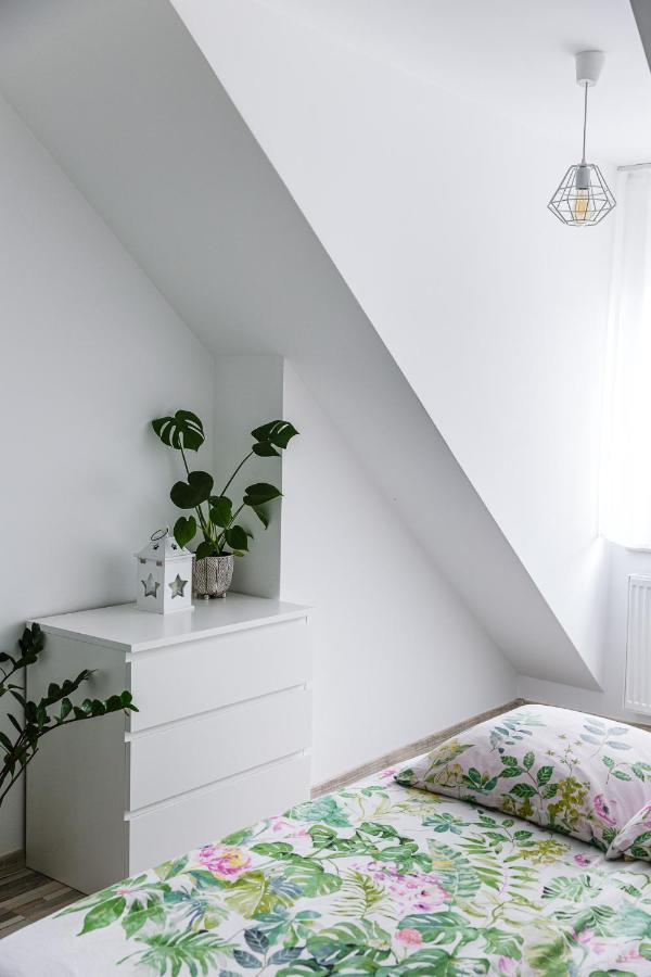 Apartament W Centrum Ustrzyki Dolne Ngoại thất bức ảnh